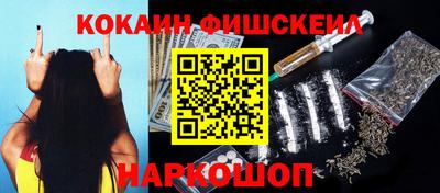 МДПВ Камышлов