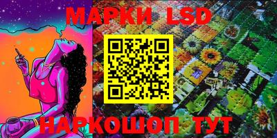 МДПВ Камышлов