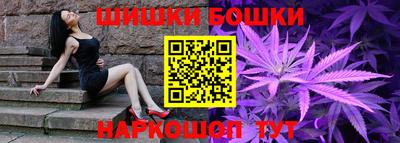 МДПВ Камышлов