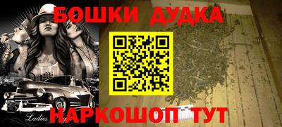 МДПВ Камышлов